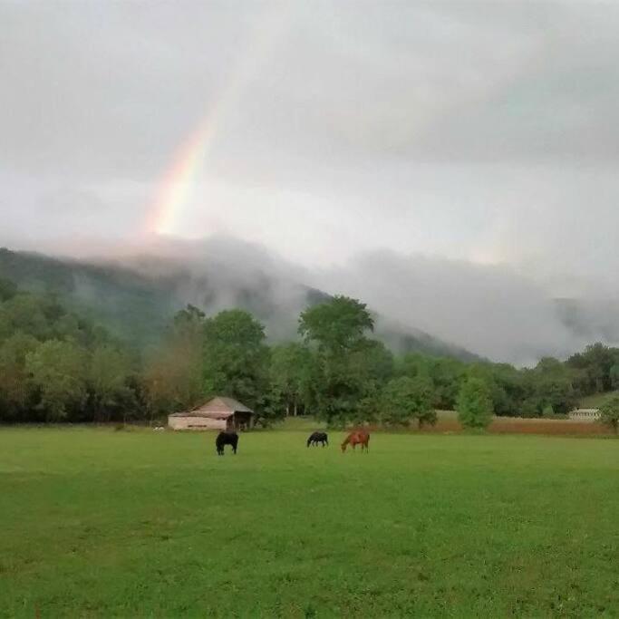 Country Mountain Escape! Villa Barnardsville Ngoại thất bức ảnh