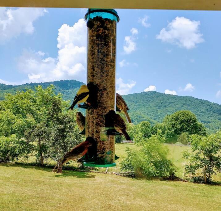 Country Mountain Escape! Villa Barnardsville Ngoại thất bức ảnh